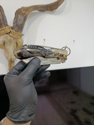 دسته شاخ